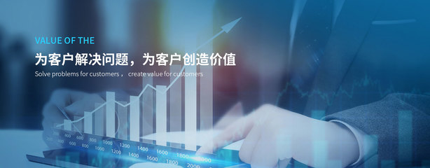 武汉大视野市场研究咨询