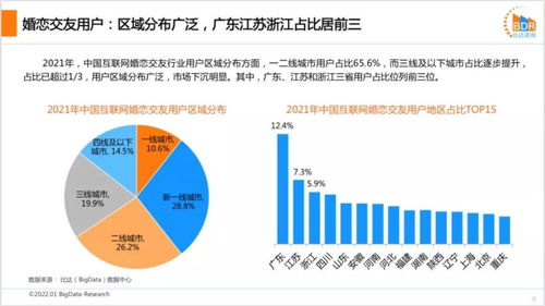 2021年度中国互联网婚恋交友市场研究报告 比达咨询