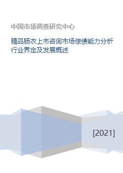 精品肠衣上市咨询市场偿债能力分析行业界定及发展概述