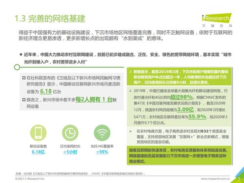 2021年中国下沉市场电商研究报告 艾瑞咨询 