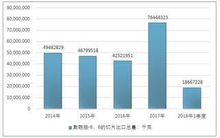 聚酰胺 6,6的切片市场分析报告 2020 2026年中国聚酰胺 6,6的切片市场研究与战略咨询报告 
