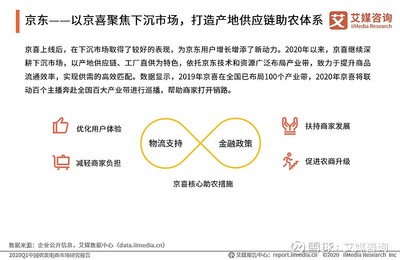 2020Q1中国农货电商市场研究报告