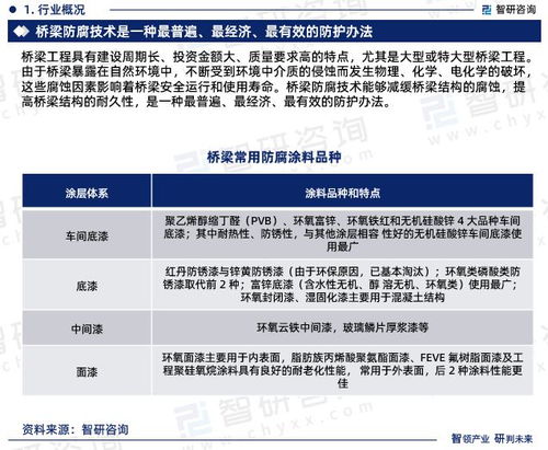 2023版中国桥梁防腐行业市场分析研究报告 智研咨询发布