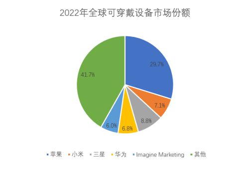 23-2028年可穿戴医疗设备行业供需分析及投资价值研究咨询报告